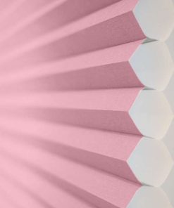Pink Rose Honeycomb Cell Image