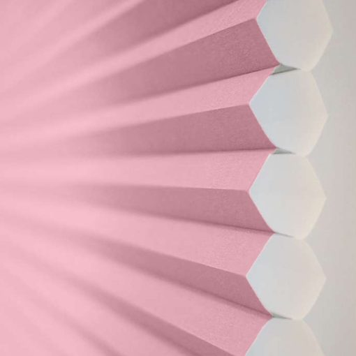 Pink Rose Honeycomb Cell Image