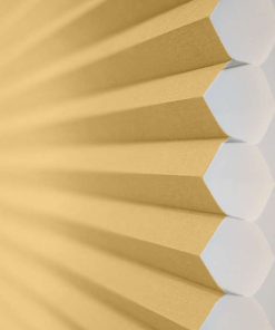 Sunshine Honeycomb Cell Image