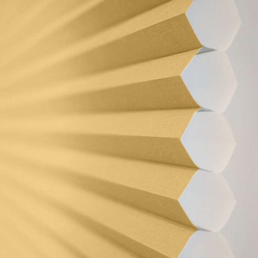 Sunshine Honeycomb Cell Image